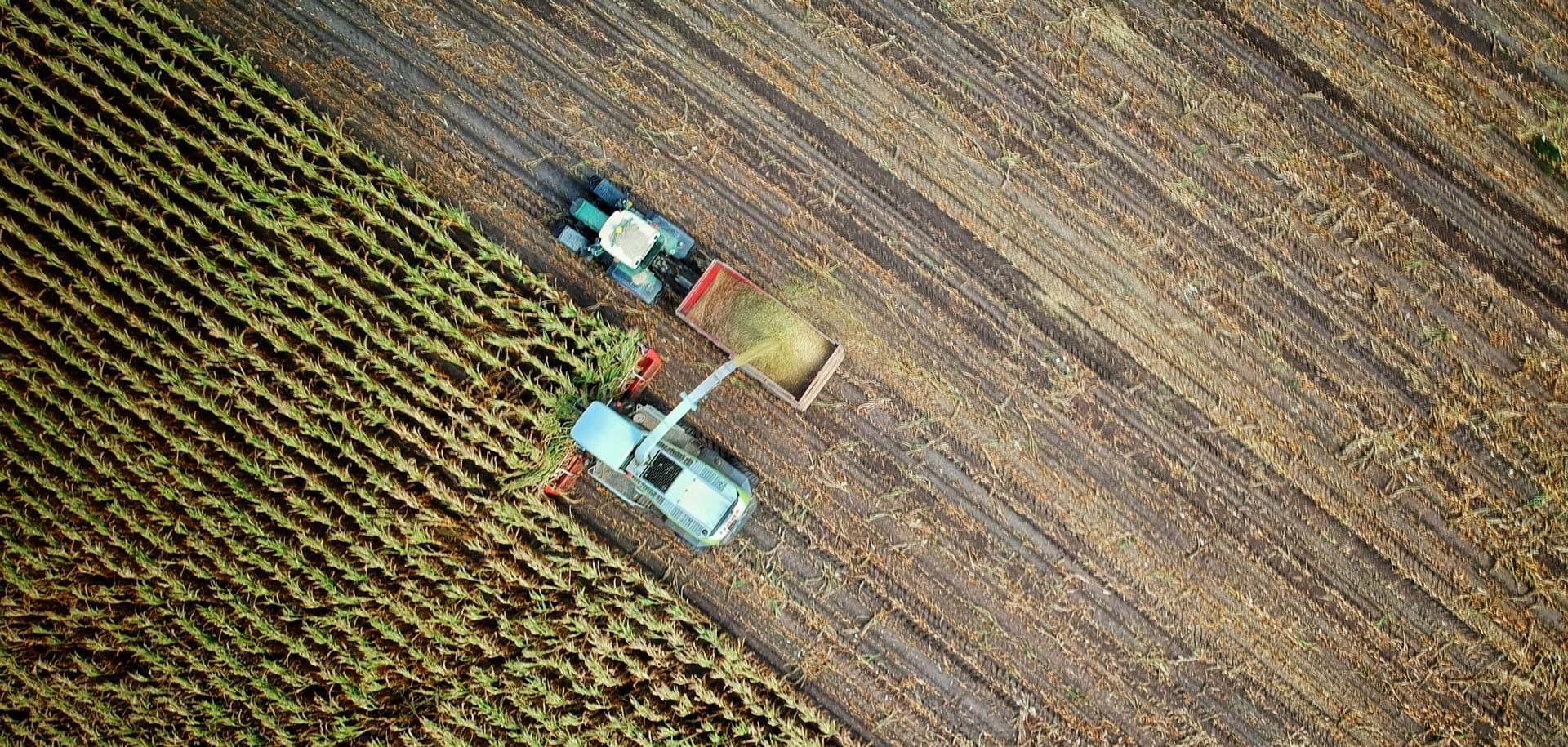 Agricultura sostenible